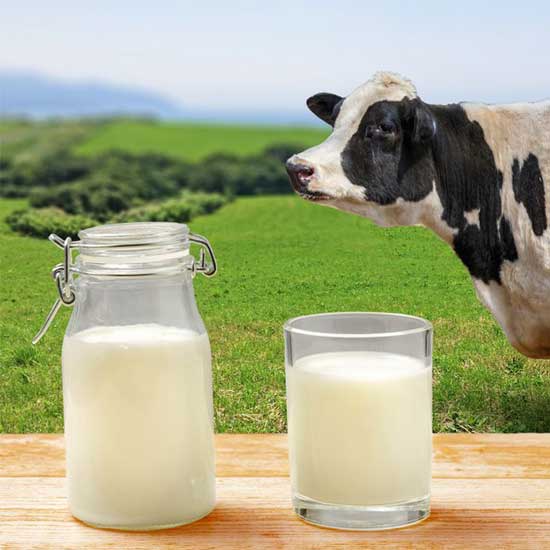 Taze süt